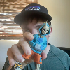snapshot